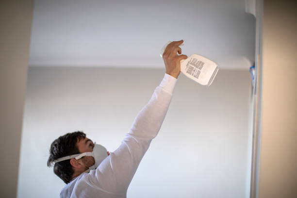 Attic Mold Removal in Canyon Day, AZ