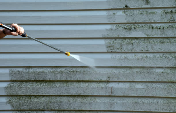 Best Commercial Mold Removal  in Canyon Day, AZ