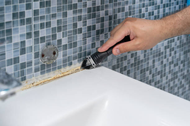Best Office Mold Removal Services  in Canyon Day, AZ