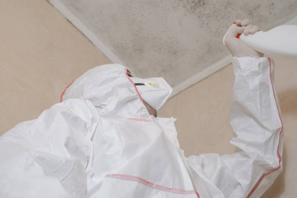 Best Mold Damage Repair  in Canyon Day, AZ