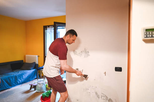 Best Professional Mold Removal  in Canyon Day, AZ